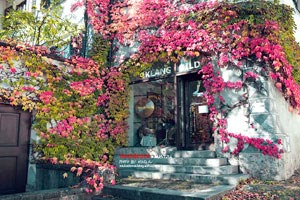 博洛尼亚队展现实力，风头无两？