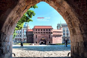 国内职业篮球职业赛事大热门