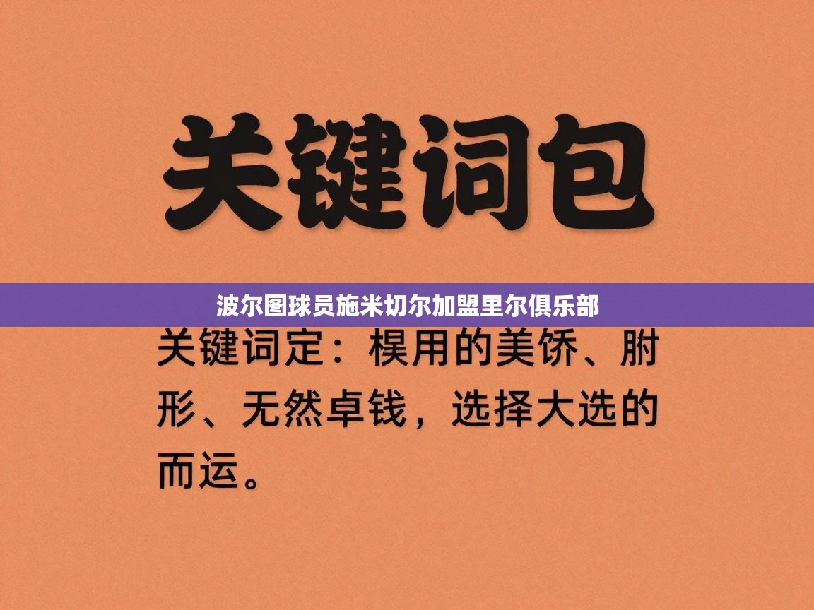 波尔图球员施米切尔加盟里尔俱乐部  第2张